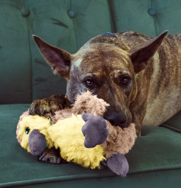 KONG COMFORT TYKES PLUSH GOSLING