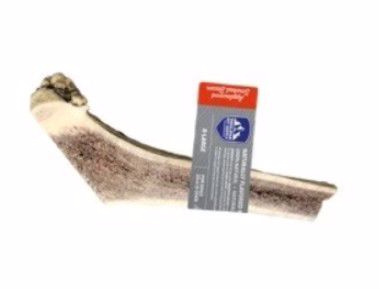 Applewood Smoked Bacon Red Tail Deer Split Antler XL