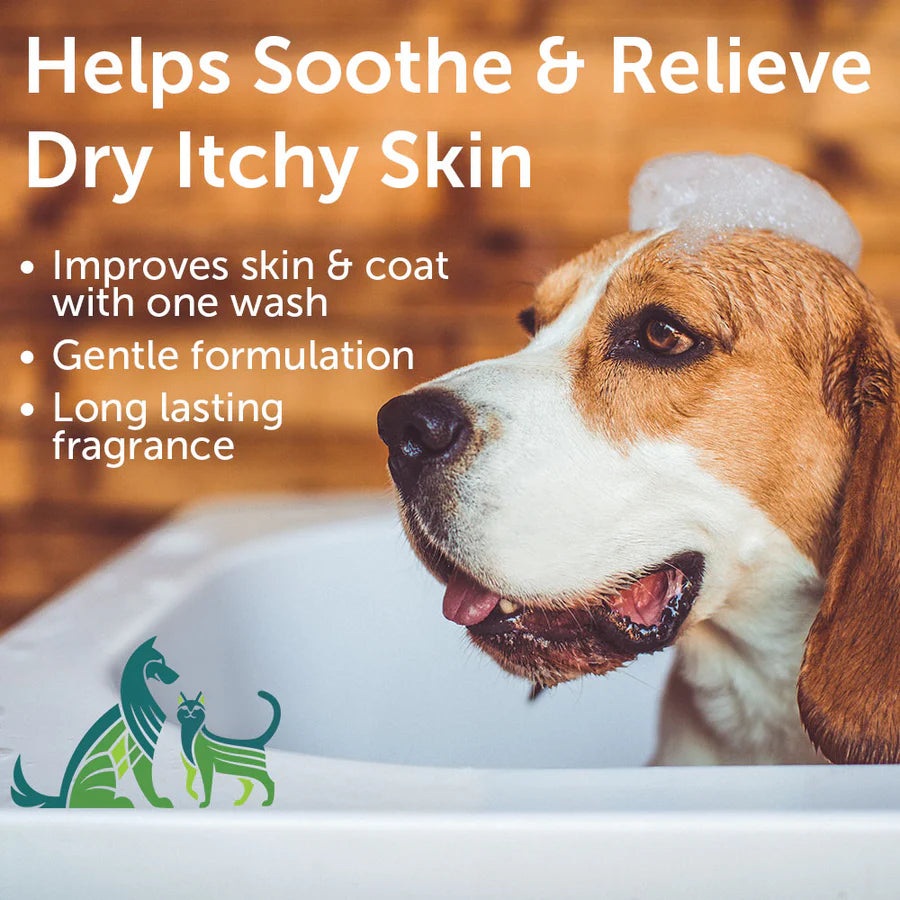Soothing Aloe & Oatmeal Cucumber & Melon Dog & Cat Shampoo 16oz
