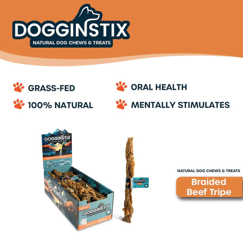 Braided Beef Tripe Stick 12"