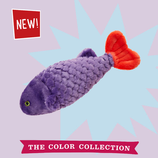 Cici the Tropical Fish