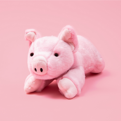Petey Pig