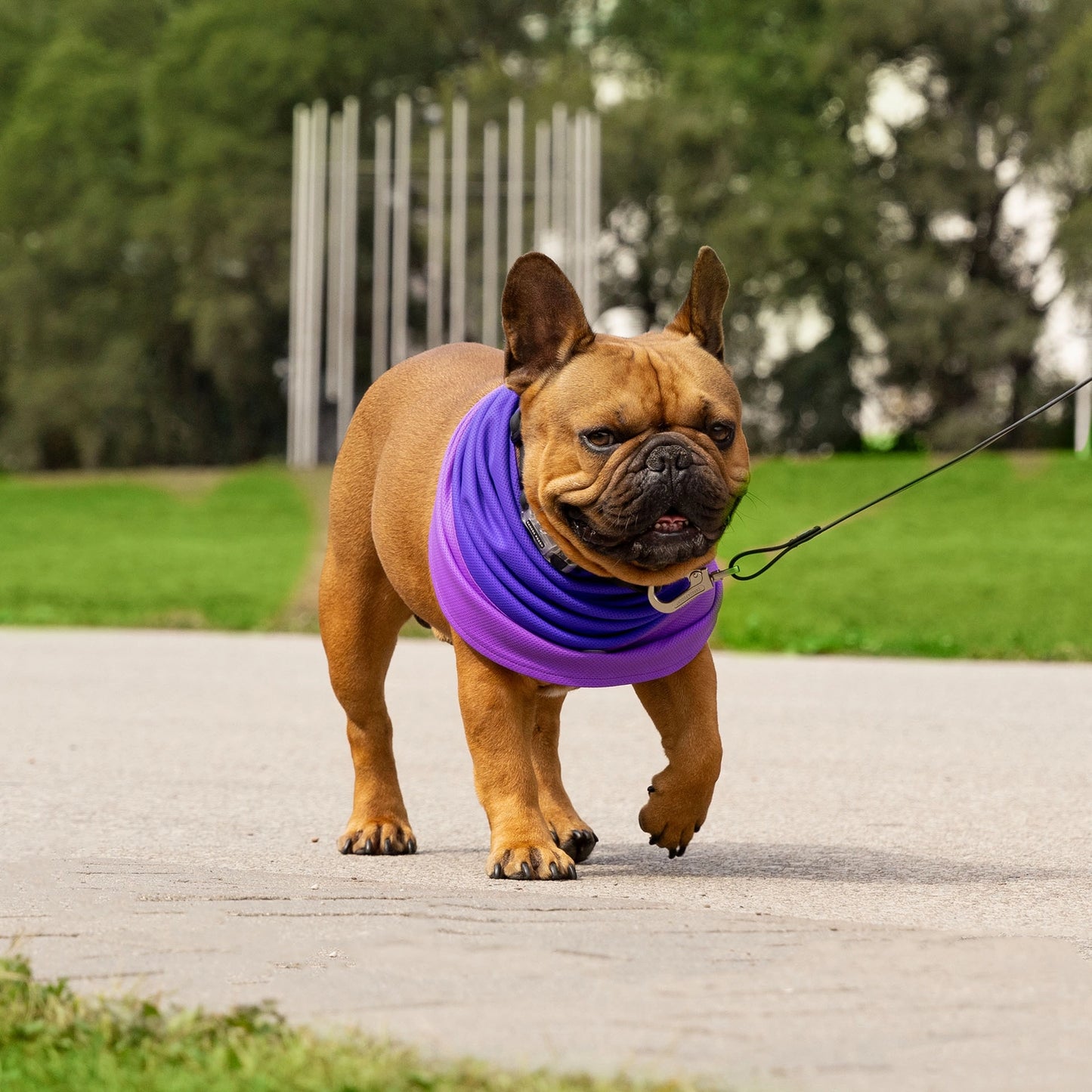 Max Chill Cooling Snood - Purple