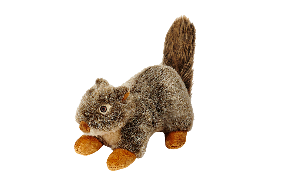 Nuts Squirrel