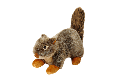 Nuts Squirrel
