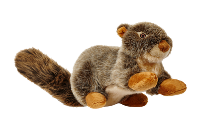 Nuts Squirrel