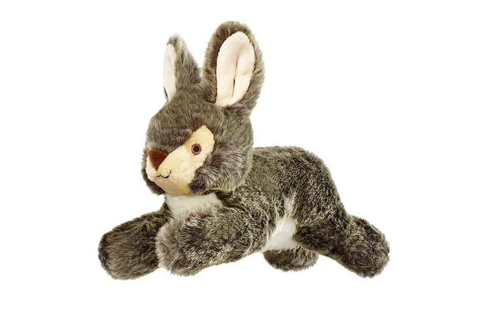 Walter Wabbit