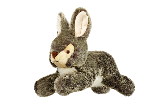 Walter Wabbit