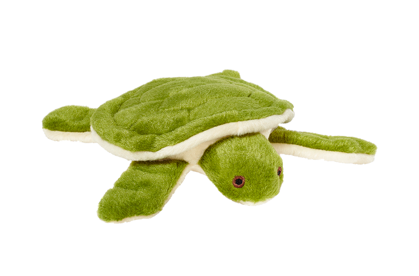 Esmeralda Turtle