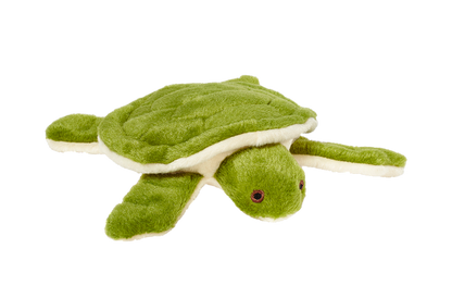 Esmeralda Turtle