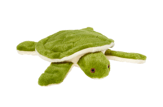 Esmeralda Turtle