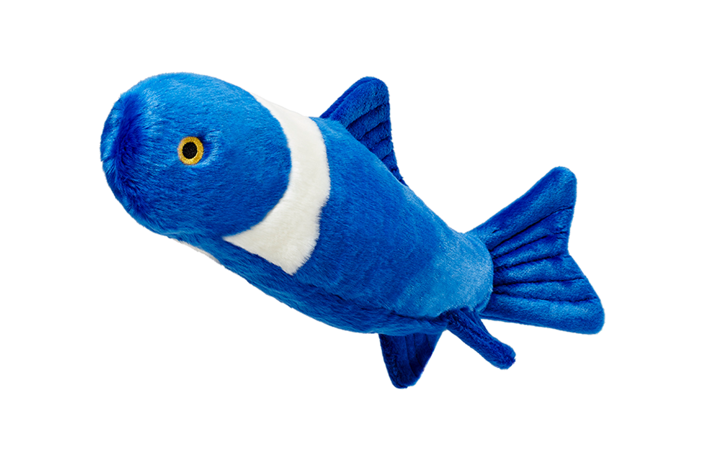 Gil Koi