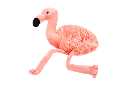 Lola Flamingo