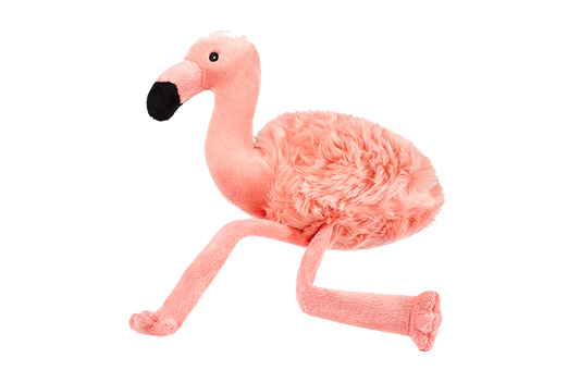 Lola Flamingo