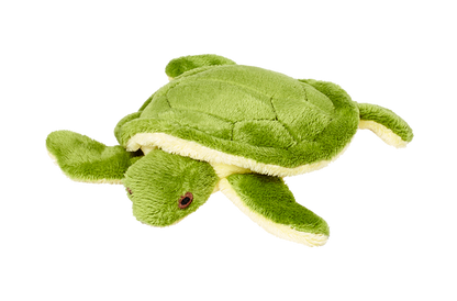 Shelly Turtle