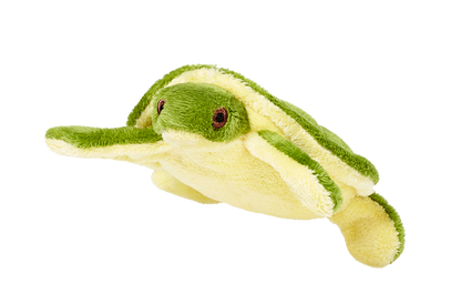 Shelly Turtle