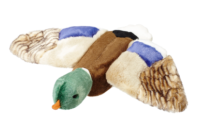 Wally Mallard