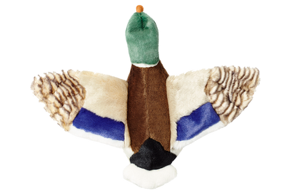 Wally Mallard