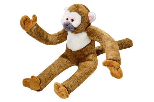Albert Monkey