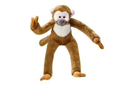 Albert Monkey