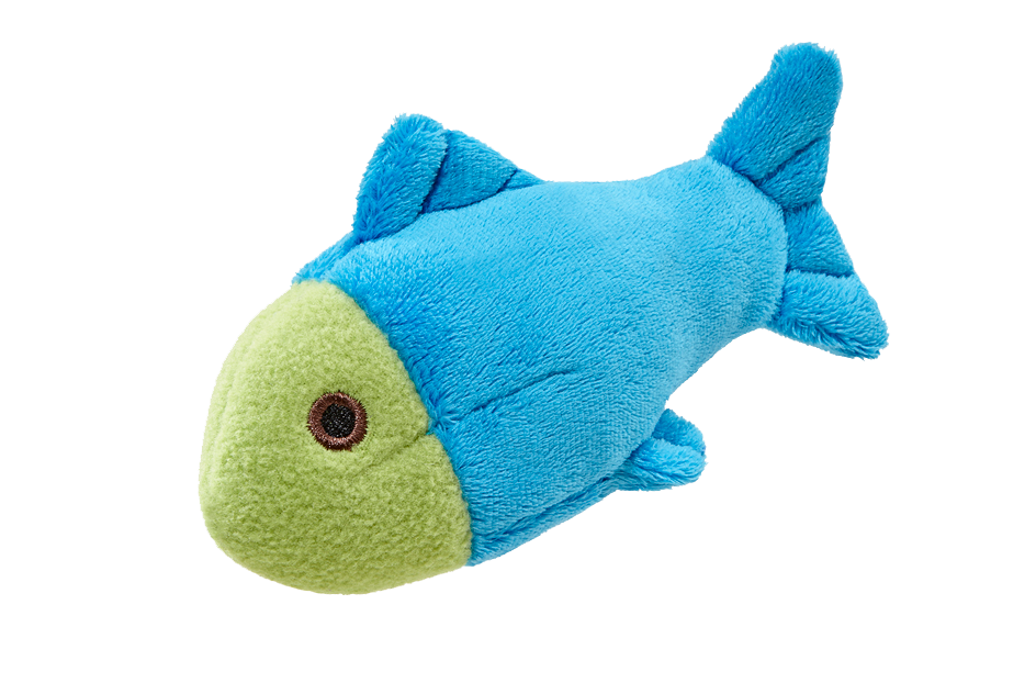 Molly Fish