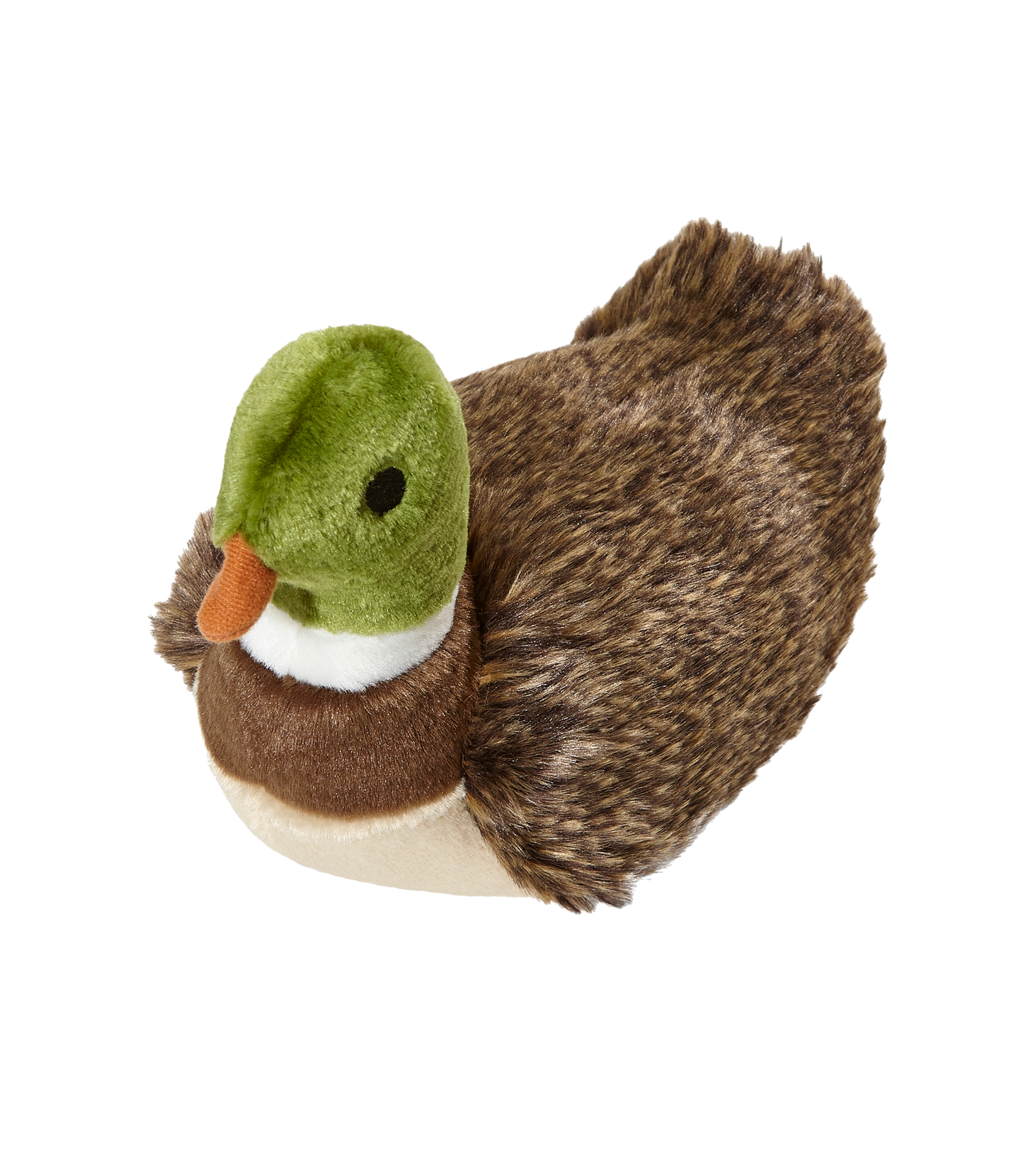 Morley Mallard