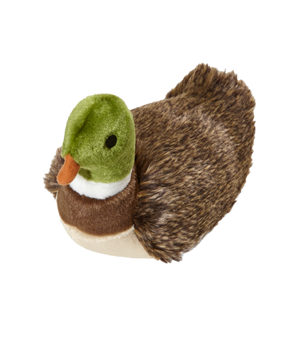 Morley Mallard