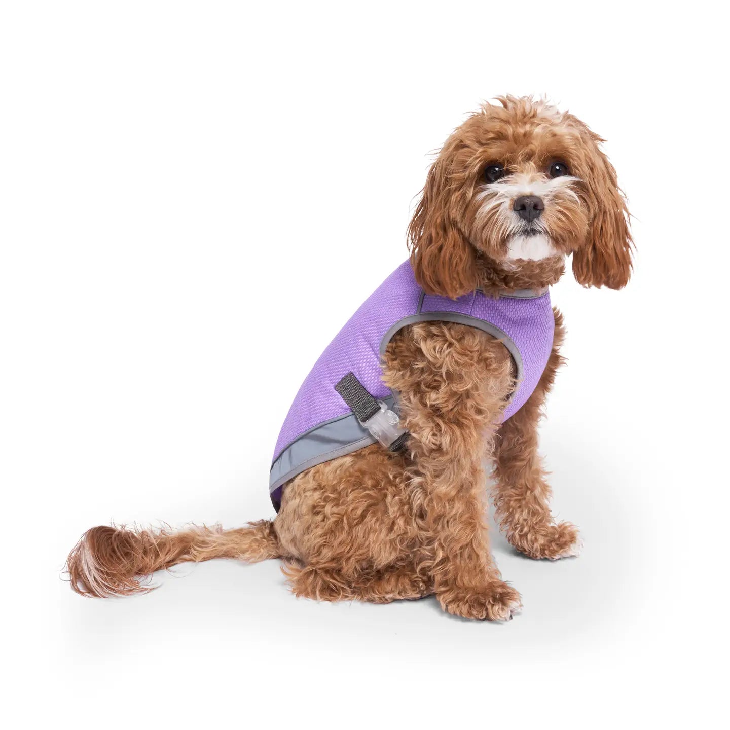 Chill Seeker Dog Cooling Vest (Purple Smiley Reveal)