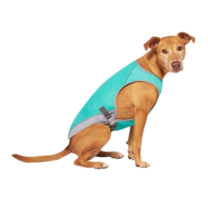 Chill Seeker Dog Cooling Vest (Green Smiley Reveal)