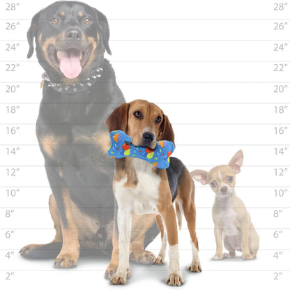 Mighty Bone - Celebration Squeaky Dog Toy, No Stuffing (MEDIUM)