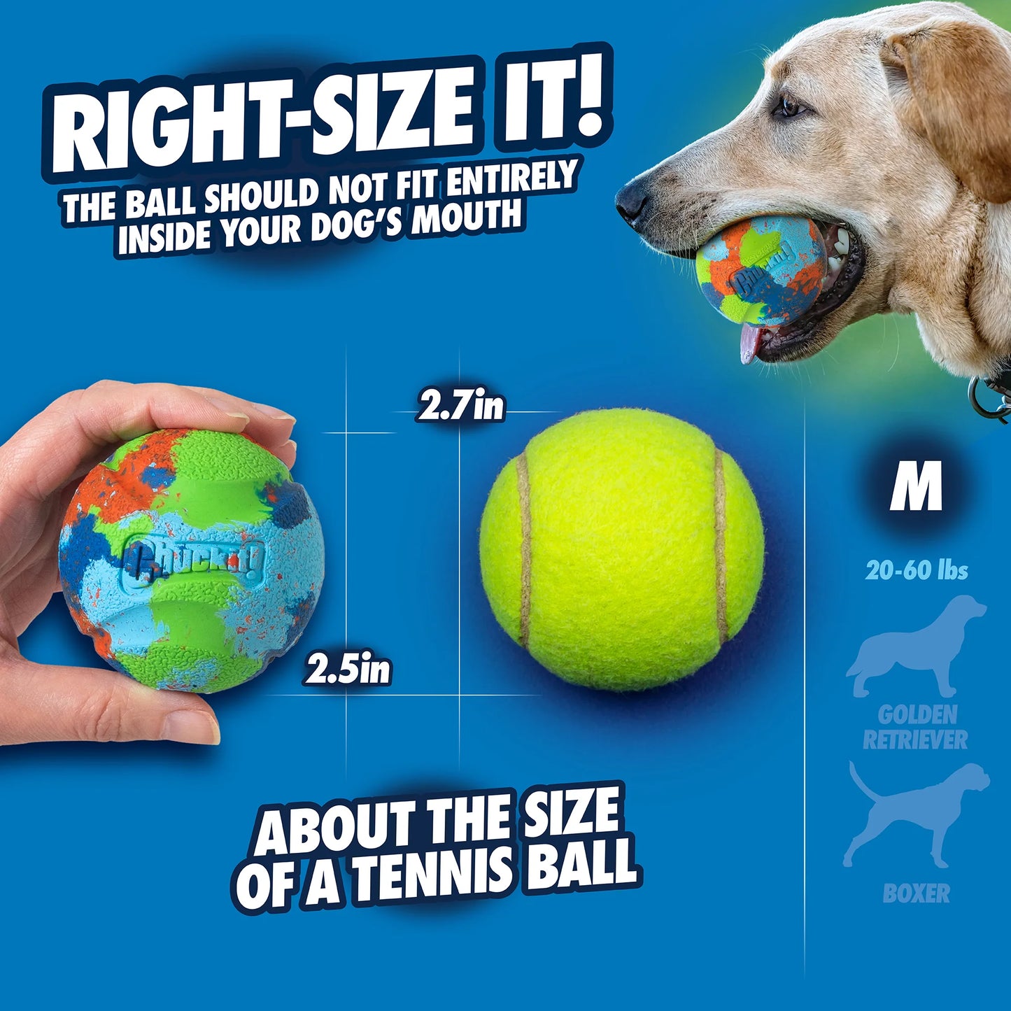 Chuckit! ECOFETCH 18" Ball Launcher & Ball