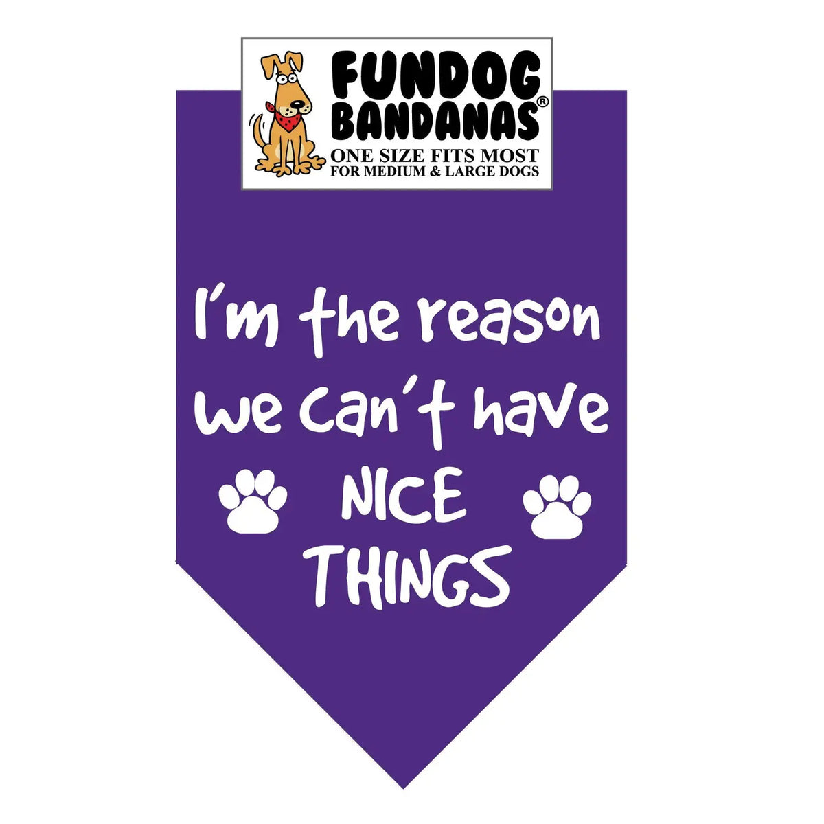 I'm The Reason We Can't Have Nice Things - Bandana