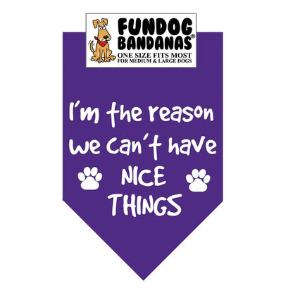I'm The Reason We Can't Have Nice Things - Bandana