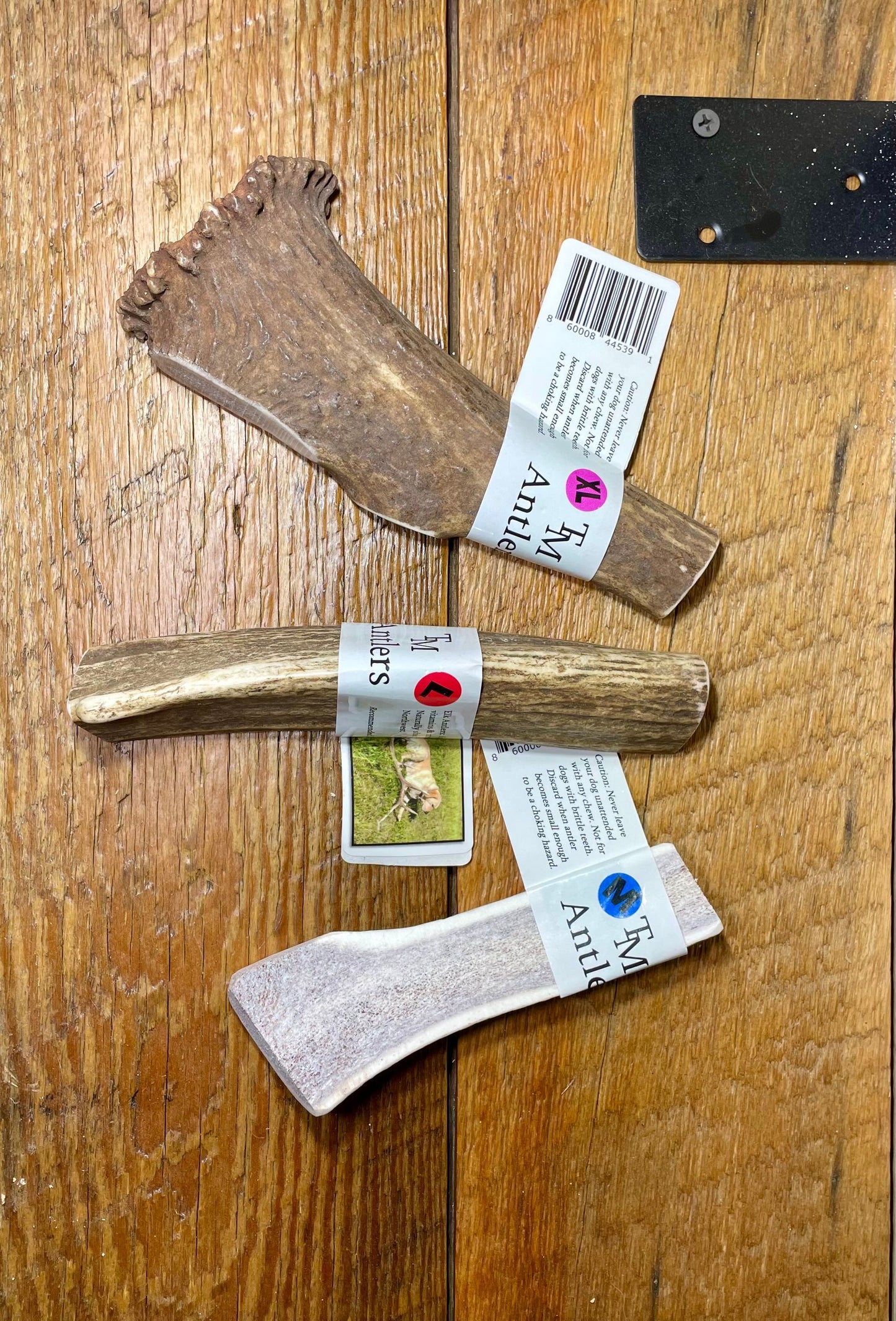 XLarge Elk Split Antler