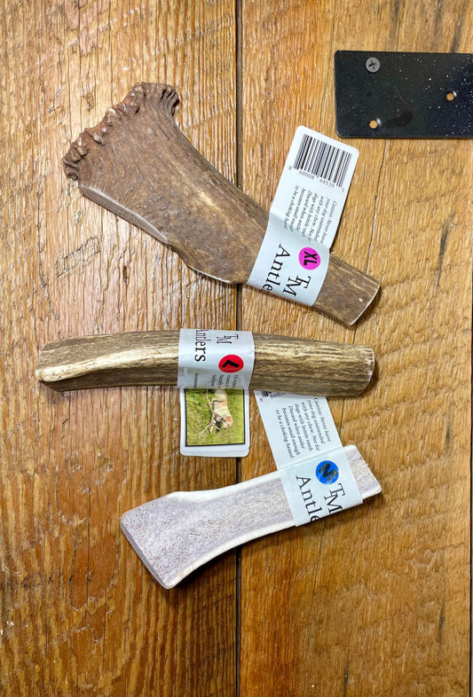 XLarge Elk Split Antler