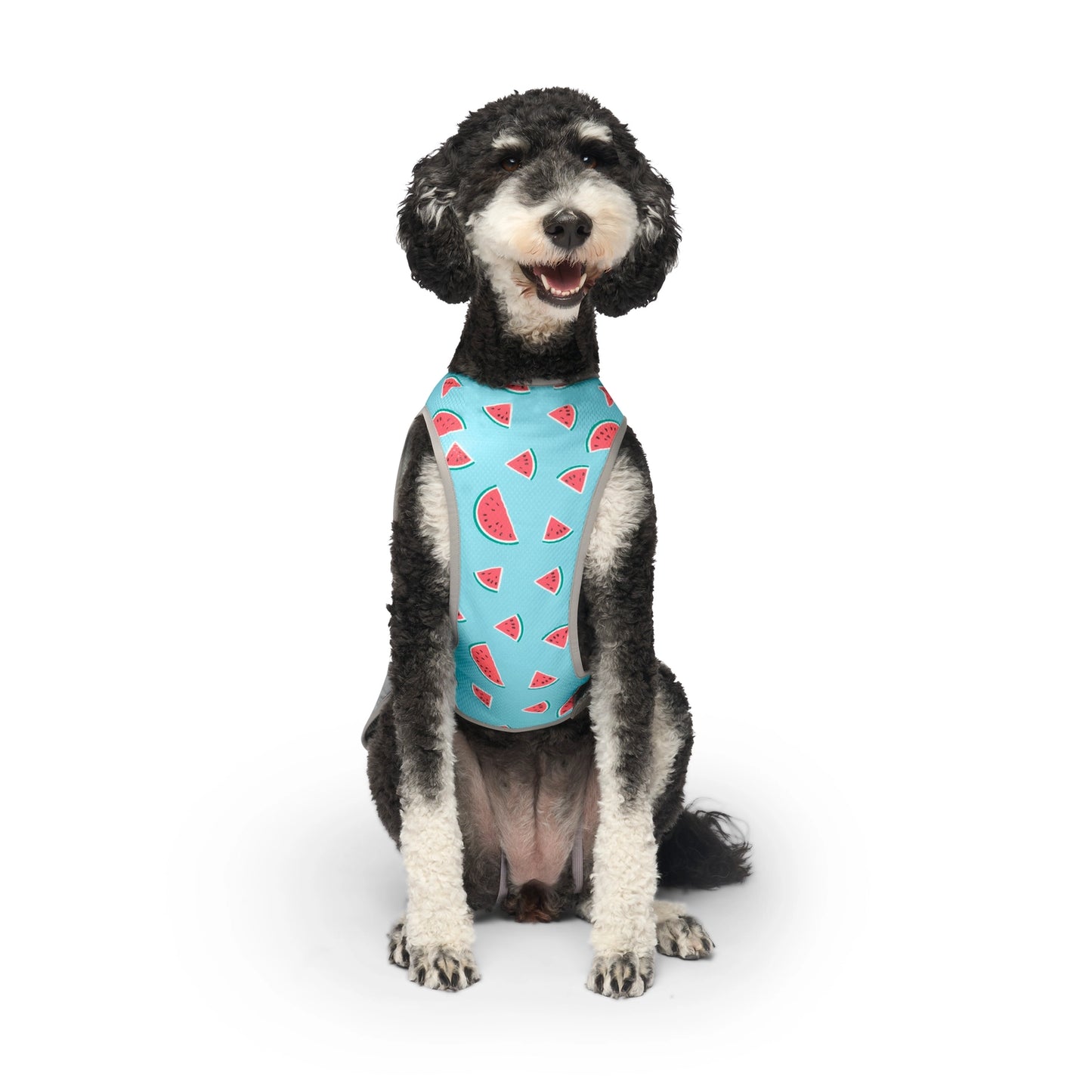 Chill Seeker Dog Cooling Vest (Watermelon)
