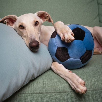 Blue Soccer Ball