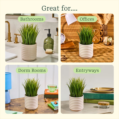 Plant Diffuser - Grass Plant - Bubble White