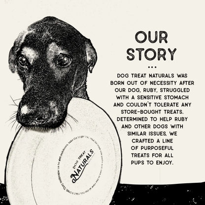 Chickpea & Ginger Dental Sticks  20ct