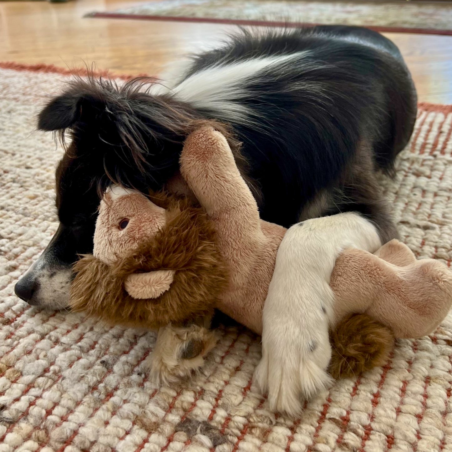 Leo Lion