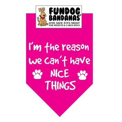 I'm The Reason We Can't Have Nice Things - Bandana