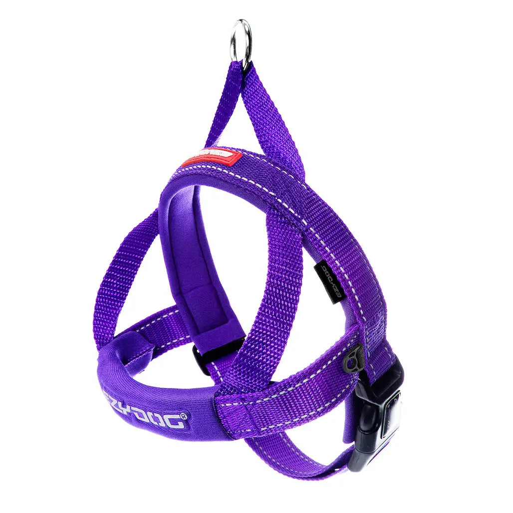 Quick Fit Harness