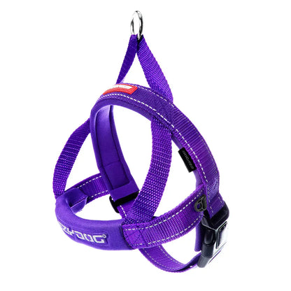 Quick Fit Harness