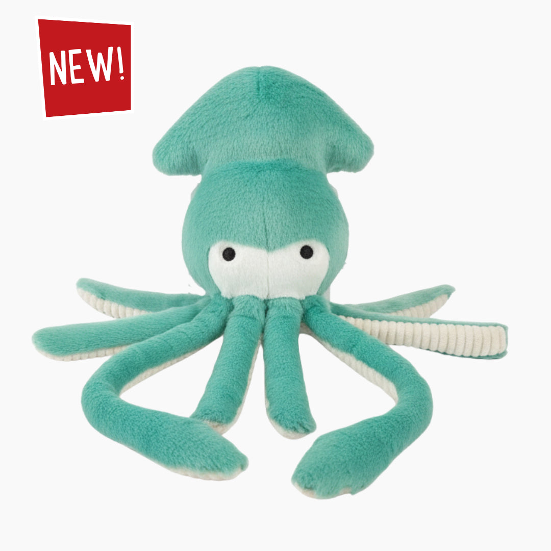 Claude Squid (NO SQUEAK)
