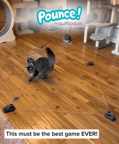 Pounce Kit!