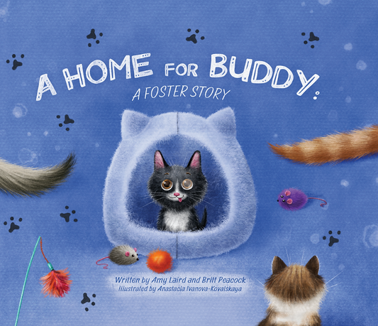 A Home for Buddy: A Foster Story PAPERBACK