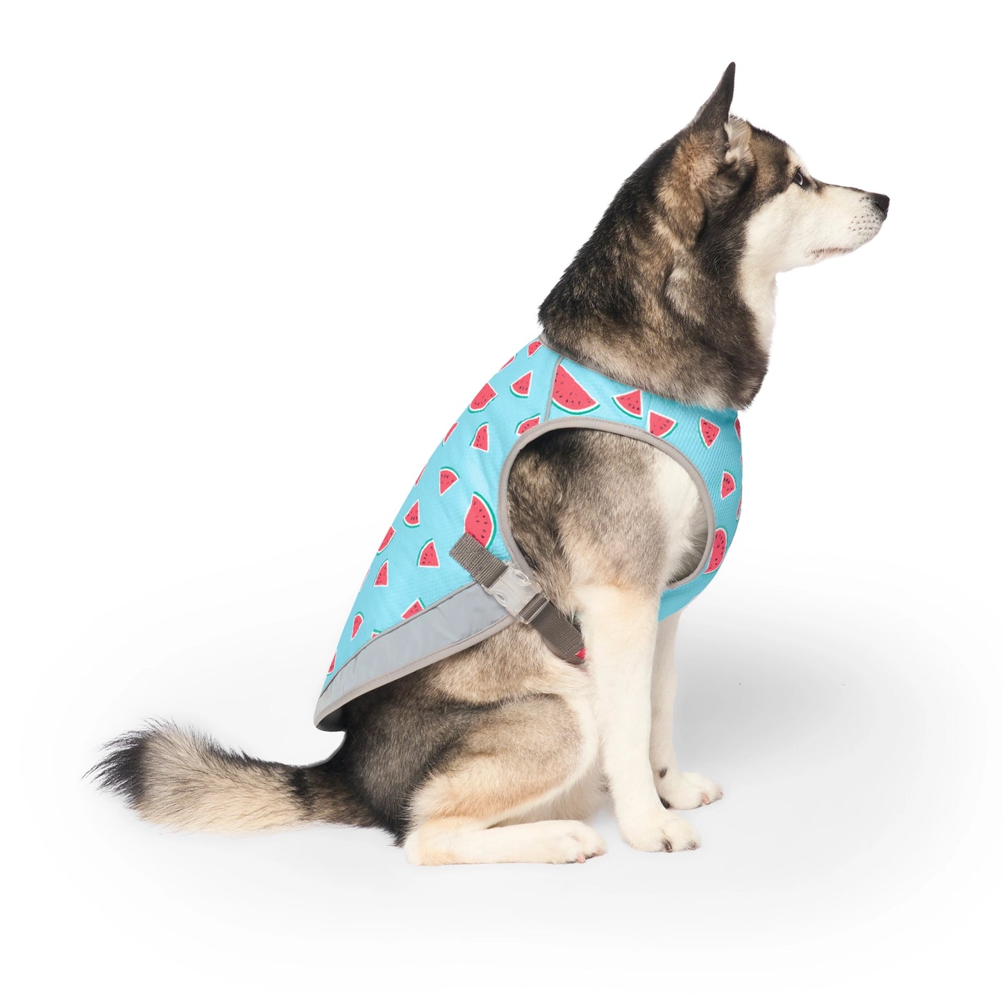 Chill Seeker Dog Cooling Vest (Watermelon)