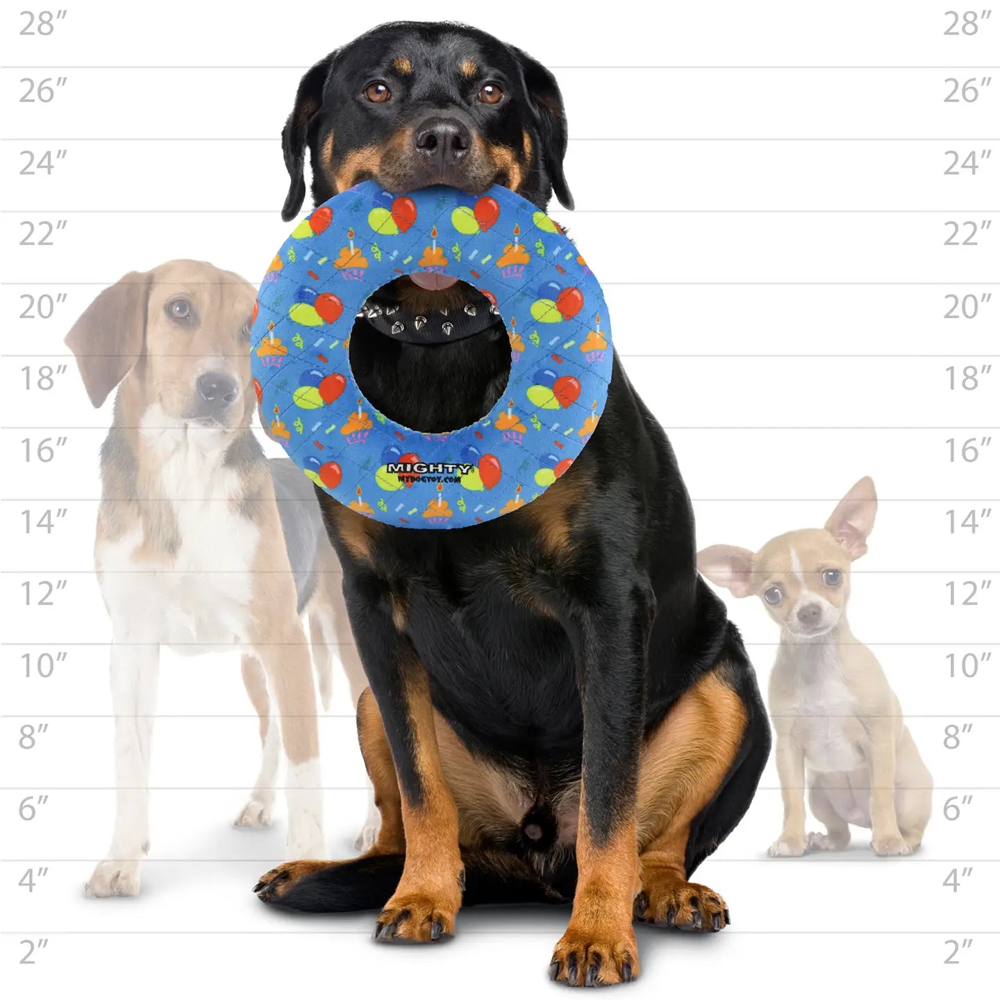 Mighty Ring-Celebration, Squeaky Dog Toy, No Stuffing (LARGE)