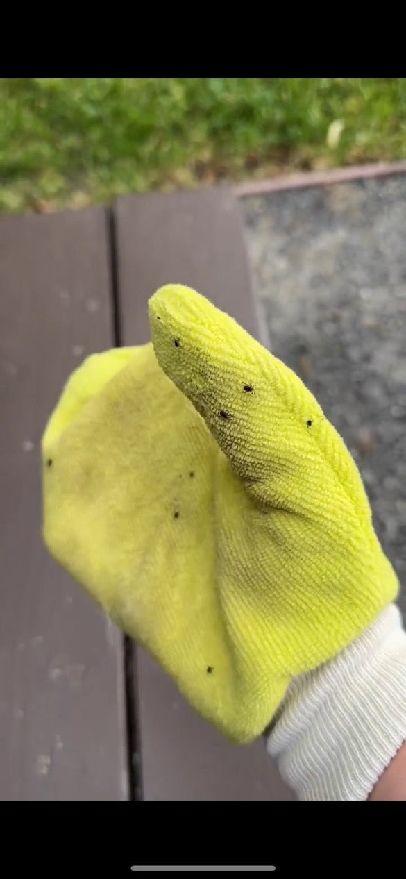 Tick Mitt
