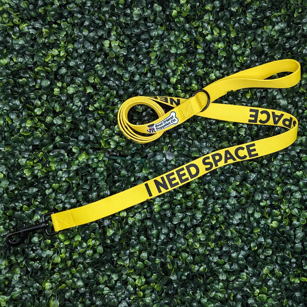 I Need Space - Leash